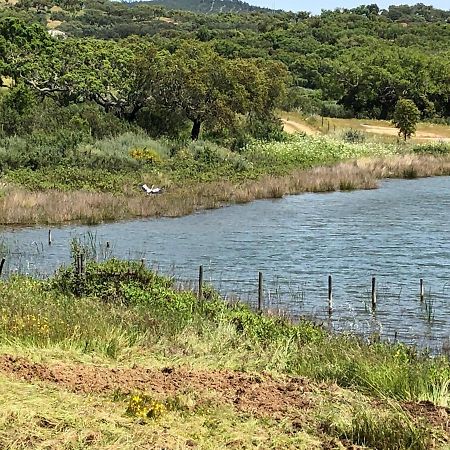 Fontes - A Essencia Do Alentejo Com Lago Privado Redondo Buitenkant foto