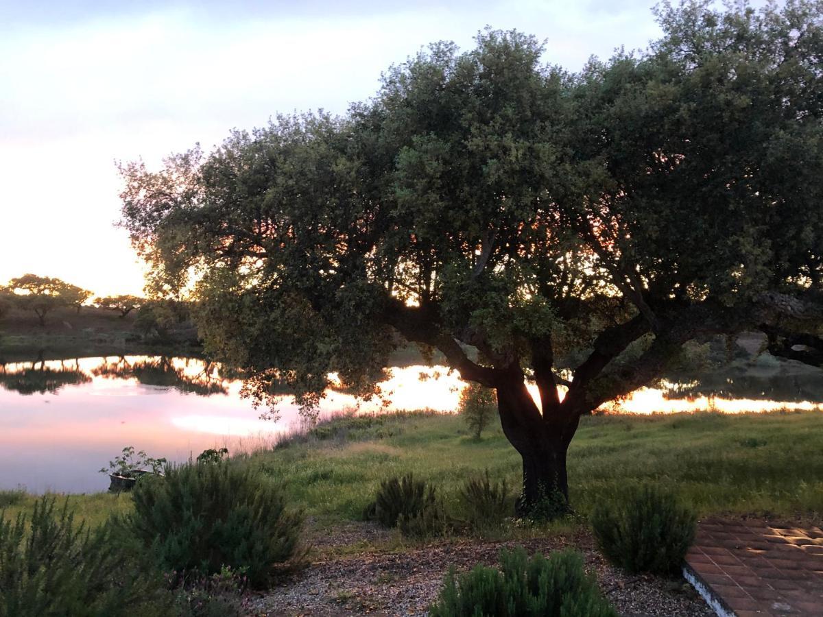 Fontes - A Essencia Do Alentejo Com Lago Privado Redondo Buitenkant foto