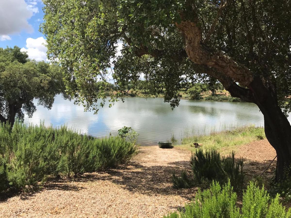 Fontes - A Essencia Do Alentejo Com Lago Privado Redondo Buitenkant foto