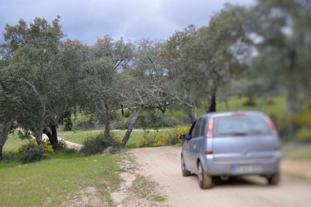 Fontes - A Essencia Do Alentejo Com Lago Privado Redondo Buitenkant foto